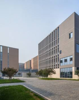 Shijiazhuang Xingou Trading Co., Ltd.